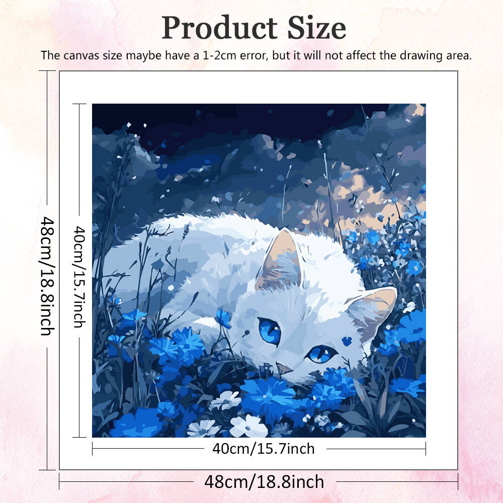 DIY Painting By Numbers Cat An - Model Kit Acrylic Paint 评论和价格